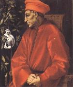 Sandro Botticelli Pontormo,Portrait of Cosimo the Elder France oil painting artist